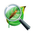 Icoon van programma: Plant diseases by photo