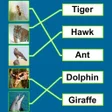 程序图标：Spelling Match : Learn sp…