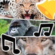 Иконка программы: Animal Ringtones  Sounds