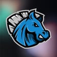 프로그램 아이콘: PwnyUp