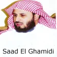 Saad El Ghamidi İnternetsiz