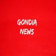 プログラムのアイコン：Gondia News