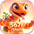 프로그램 아이콘: 567FShelf