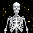Иконка программы: Assemble Skeleton