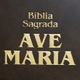 程序图标：Holy Bible with Harp