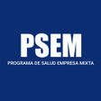 プログラムのアイコン：PSEM