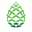 Иконка программы: Pinecone Research