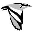 Icon of program: Birds of Africa