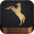 Icon of program: Tame your horsepony donk…