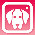 プログラムのアイコン：DogCam - Dog Selfie Filte…