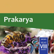 程序图标：Prakarya Kelas 8 Semester…