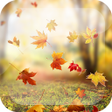 プログラムのアイコン：Falling Leaves Live Wallp…