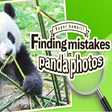 Super Kawaii! Finding Mistakes in Panda Photos