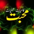 程序图标：Mohabbat Ko Pane Ka Amliy…