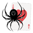 プログラムのアイコン：Spider Solitaire HD