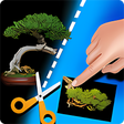 Ícone do programa: My Bonsai