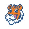 Иконка программы: TigerTownToGo