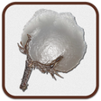 程序图标：Cotton Ginning Calculator