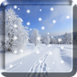 Winter Snow live wallpaper