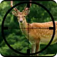 Deer Hunting Calls