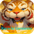 プログラムのアイコン：karachi garments