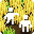 Tiny Terraces icon