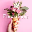 Flower Cone Theme HOME