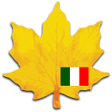 程序图标：Learn italian widget