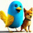 Symbol des Programms: Twitter Logo Changer