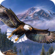プログラムのアイコン：Eagle Wallpaper Best 4K