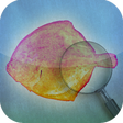 أيقونة البرنامج: Fishbook
