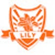 Lily Downloader icon