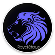 程序图标：Royal Status And DP