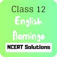 Class 12 English Flamingo NCERT Solutions