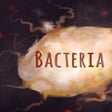 Symbol des Programms: Bacteria