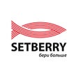 Programın simgesi: Setberry - бери больше