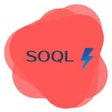 أيقونة البرنامج: Salesforce SOQL Enhancer