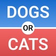 Icoon van programma: Would You Rather: This or…