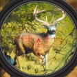 Programın simgesi: Deer Hunter 2023 Hunting …
