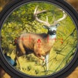 Biểu tượng của chương trình: Deer Hunter 2023 Hunting …