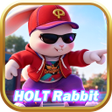 HOLT Rabbit icon