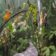 程序图标：Tropical Forest