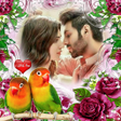 プログラムのアイコン：Bird Photo Frame