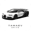 プログラムのアイコン：Tamaev Drive : Онлайн