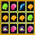 Icoon van programma: Seashell Blocky Challenge