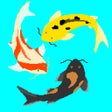 Icon of program: Fisherman in Town
