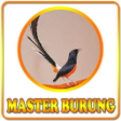 Icon of program: Kicau Master Burung