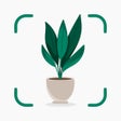 Ikon program: Plantify: Plant Identifie…