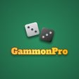 程序图标：GammonPro