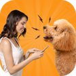 プログラムのアイコン：Dog Translator Prank Simu…